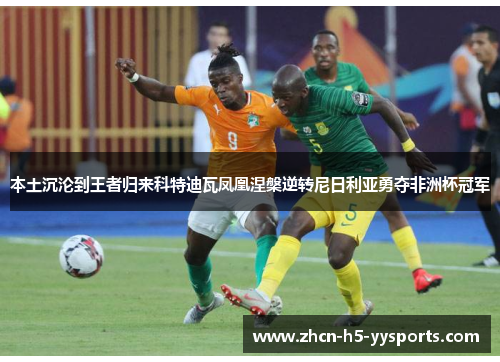本土沉沦到王者归来科特迪瓦凤凰涅槃逆转尼日利亚勇夺非洲杯冠军